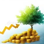 kasa-kolikoita-kasvavan-puun-ymparilla