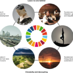 Miten Valita Parhaat Vastuulliset Rahastot Sijoittamiseen rahastojen-ja-luontoaiheiden-yhdistelma